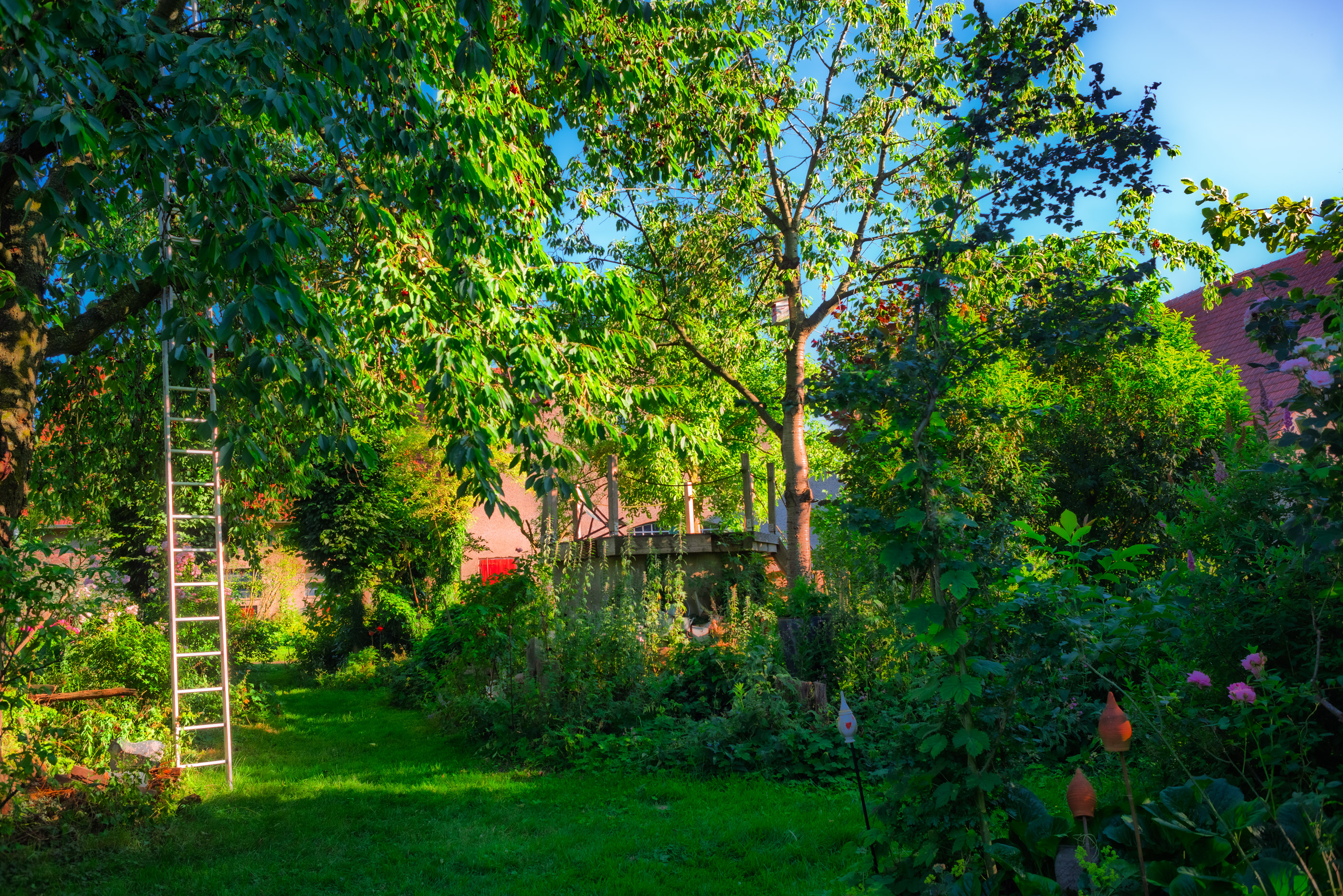 Großer naturnaher Garten/Park mit Gehölzen, Heckenelementen, Stauden,