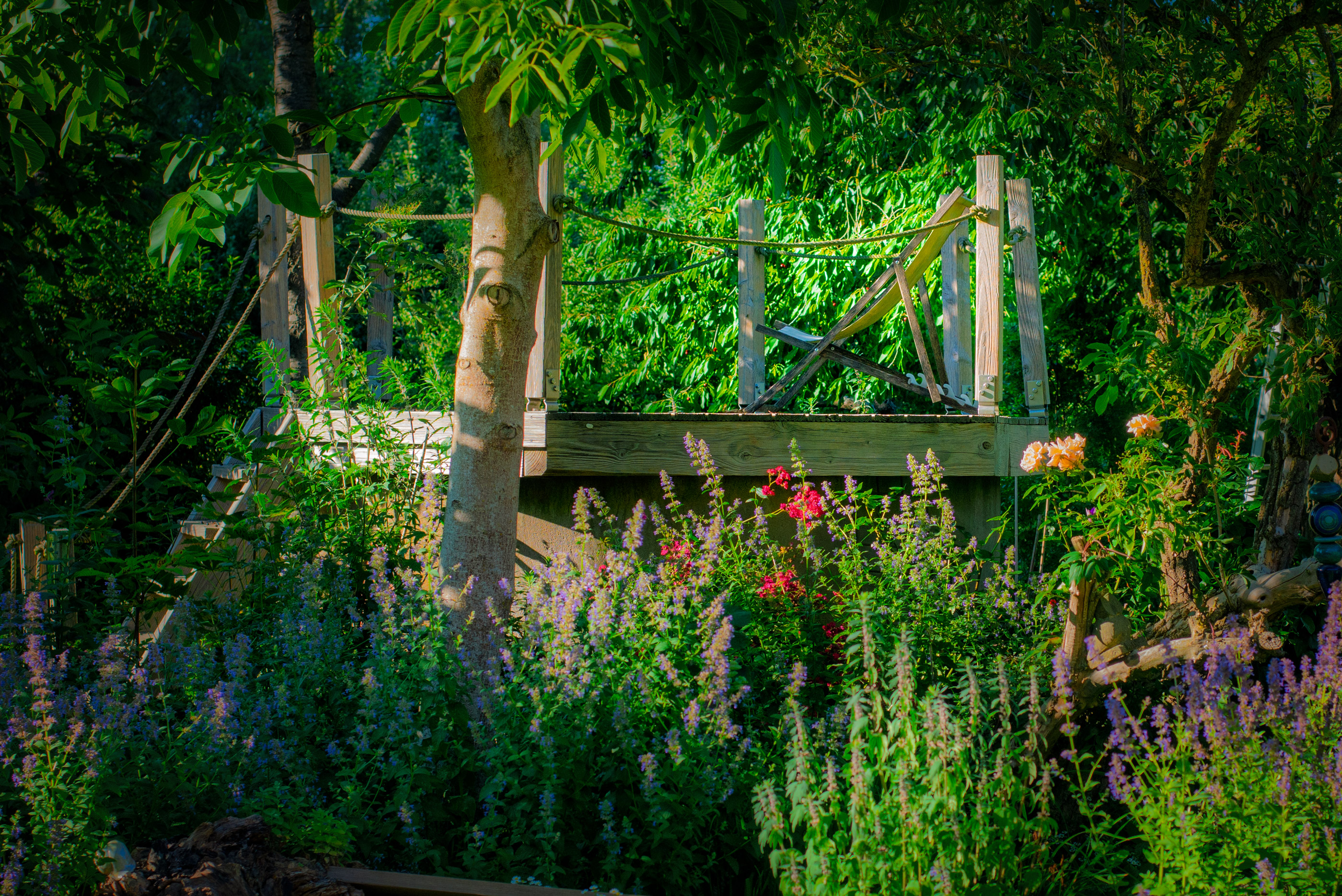 Großer naturnaher Garten/Park mit Gehölzen, Heckenelementen, Stauden,